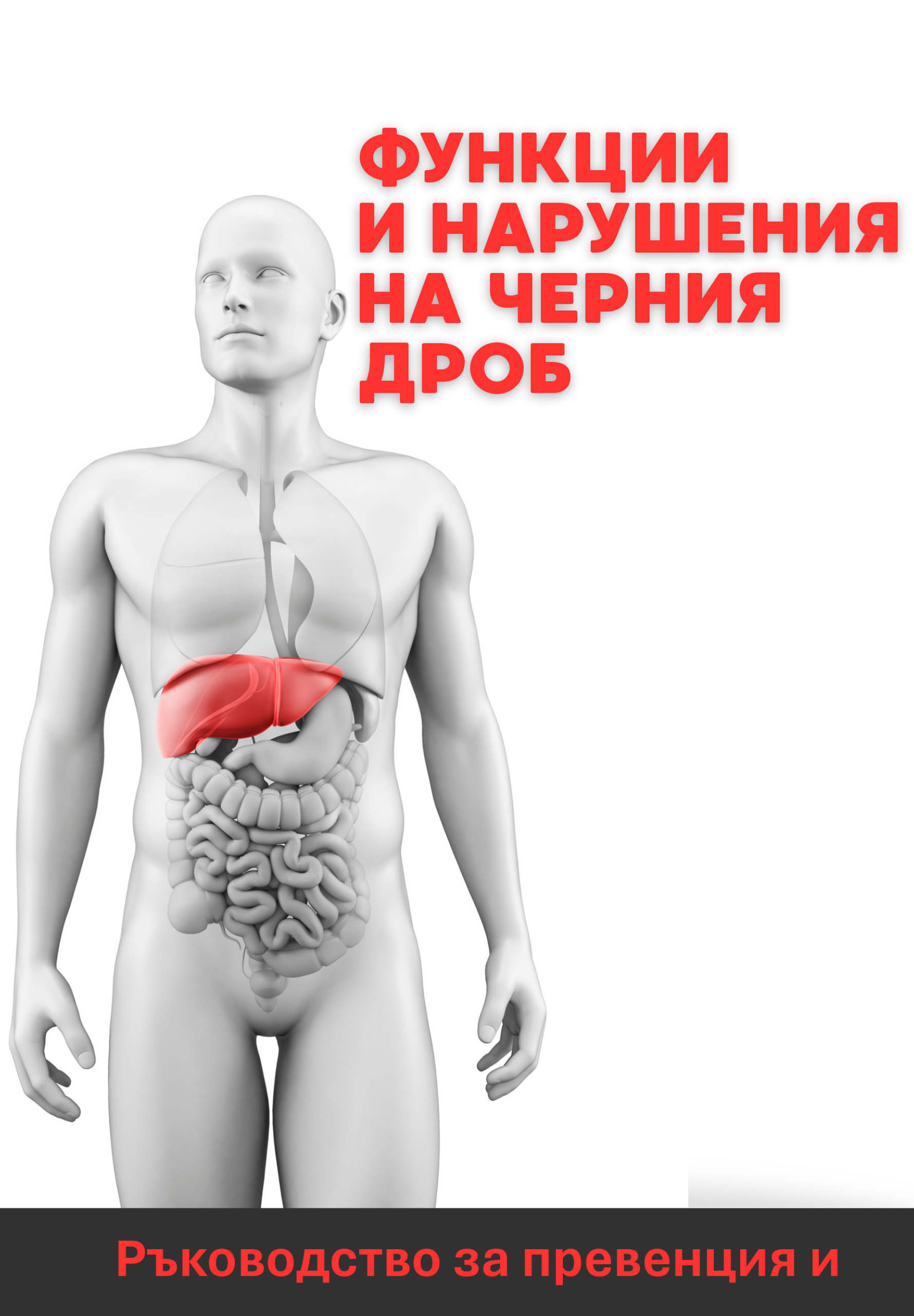 Функции и нарушения на черния дроб