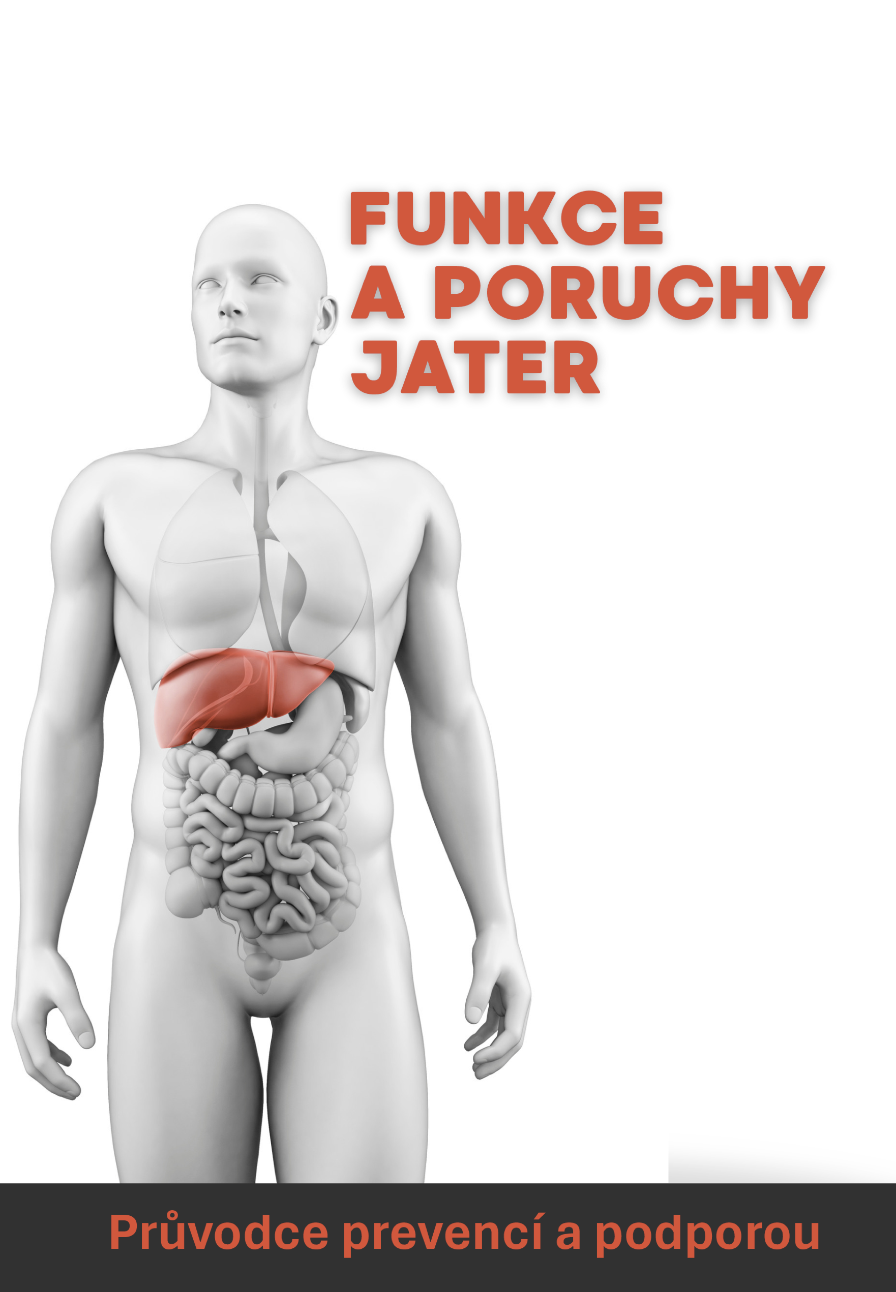 Funkce jater a jejich poruchy