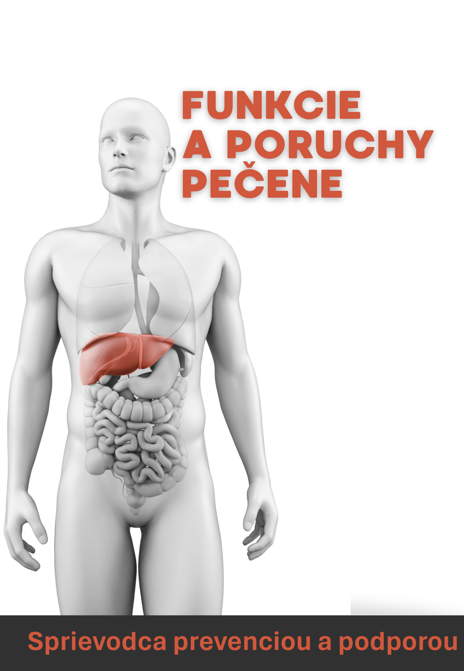 Funkcie a poruchy pečene